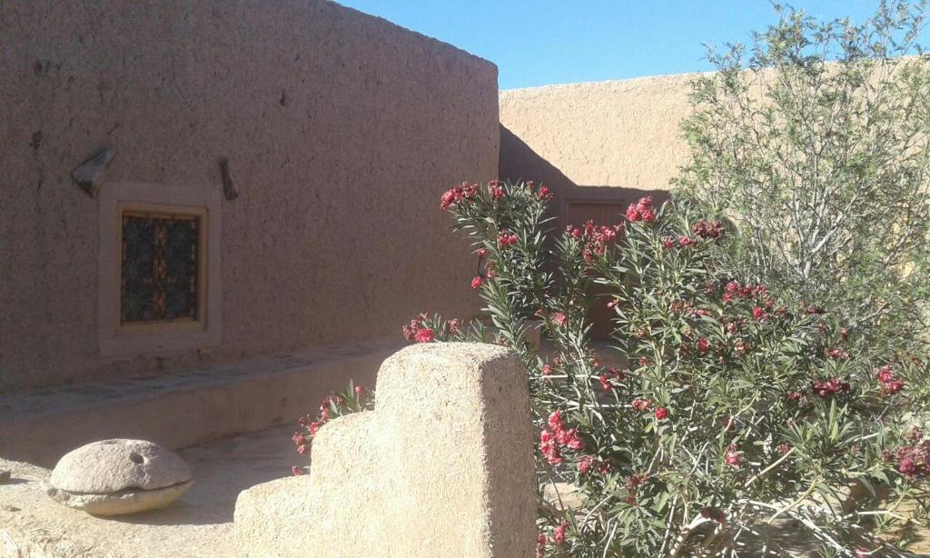 Tazoult Ouzina photo 3