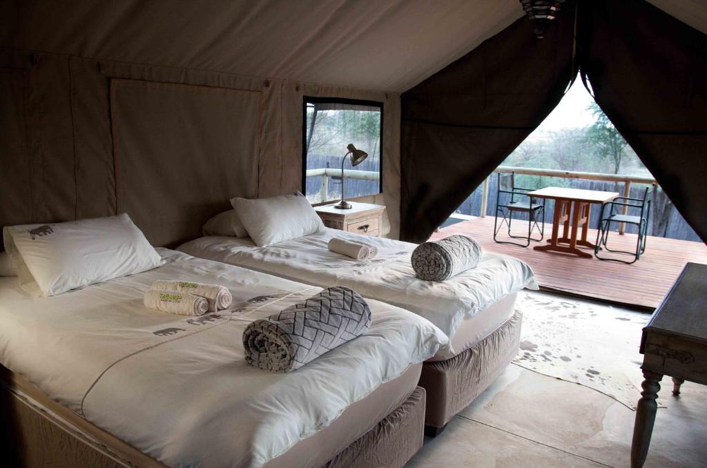 Taranga Safari Lodge photo 2
