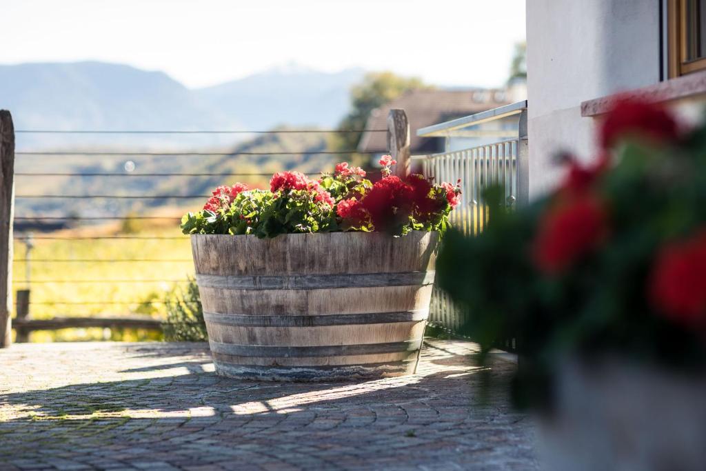 Weingut Donà photo 4