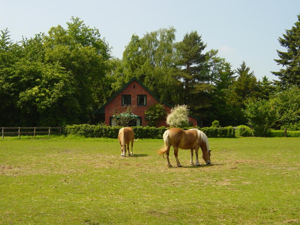 Bernard Meyborg photo 1