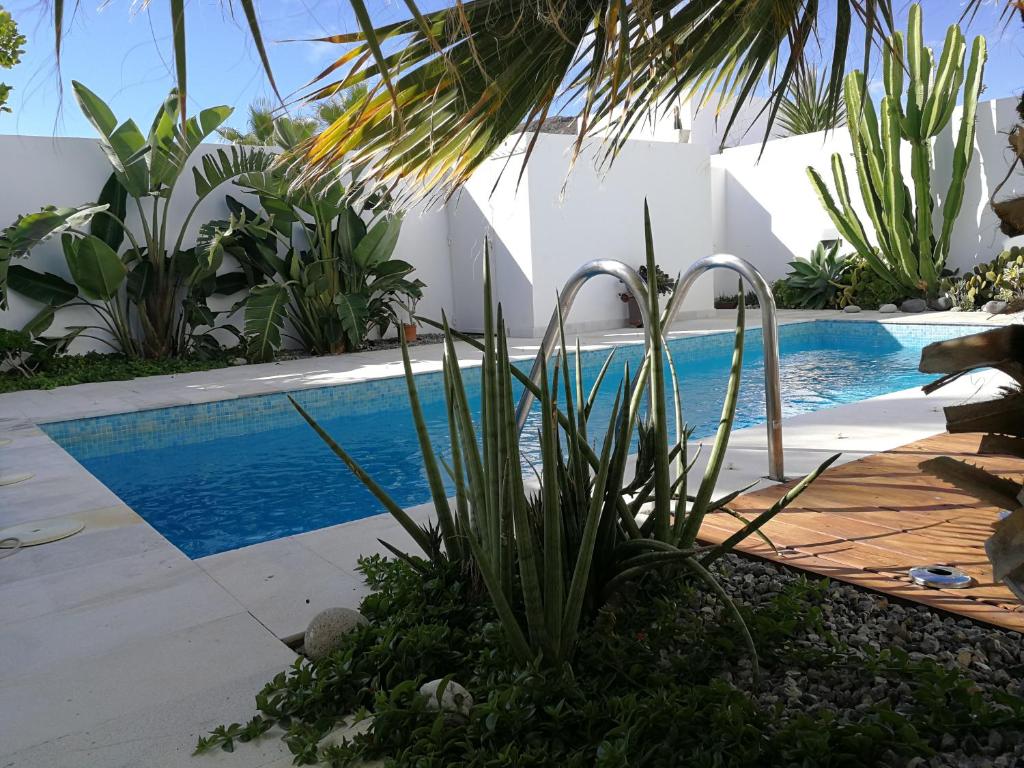 Casa Euphorbia photo 1