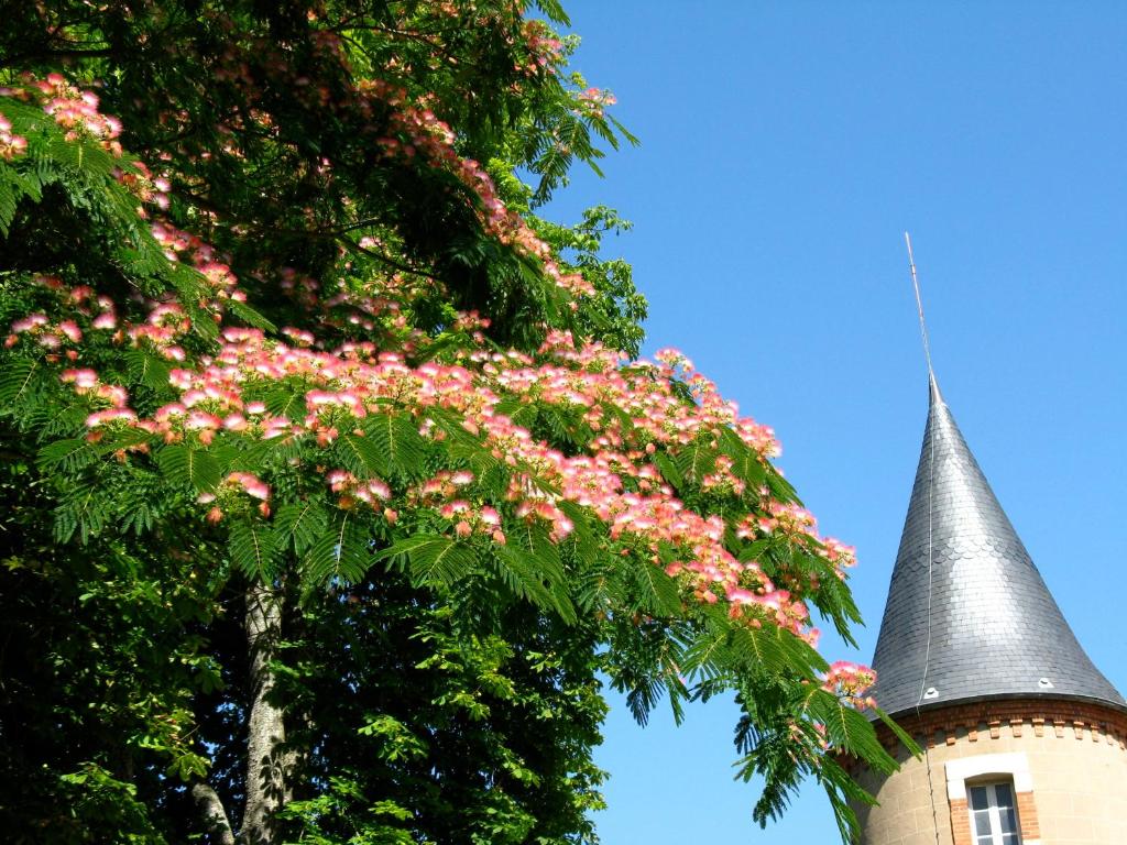 Domaine du Bourg Gites photo 3