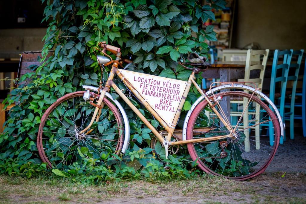 Domaine du Bourg Gites photo 4