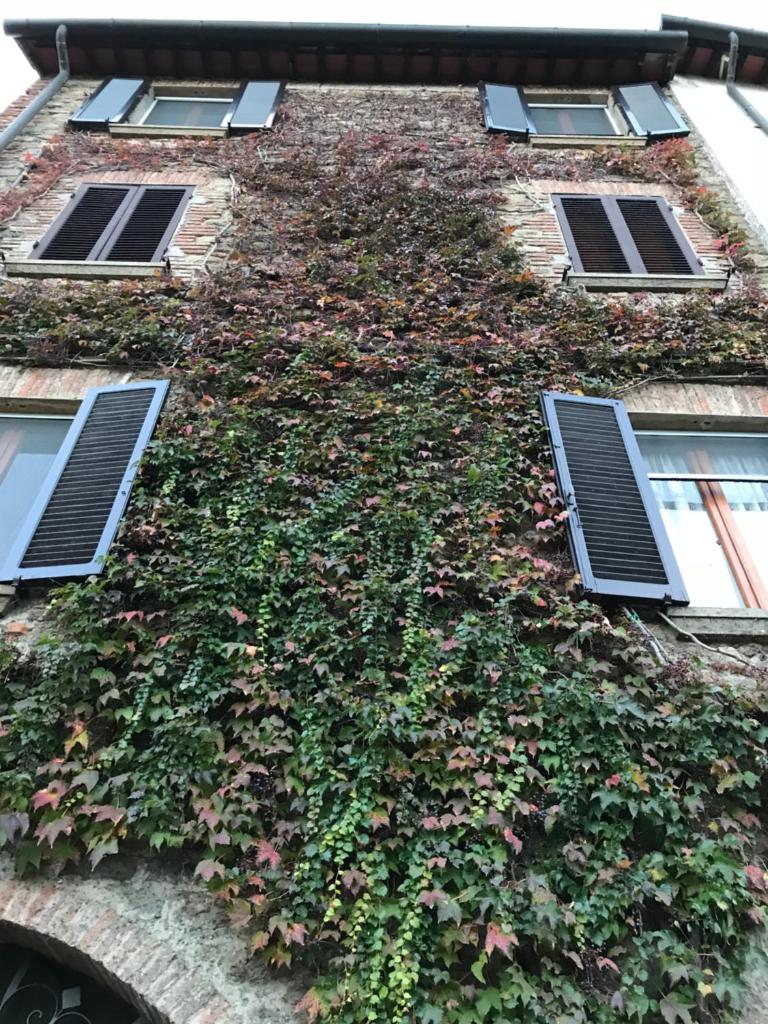 Tre Girasoli photo 2
