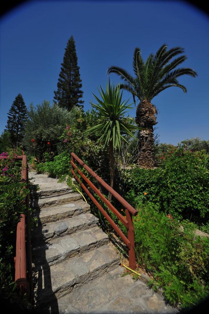 Athina Villas photo 3