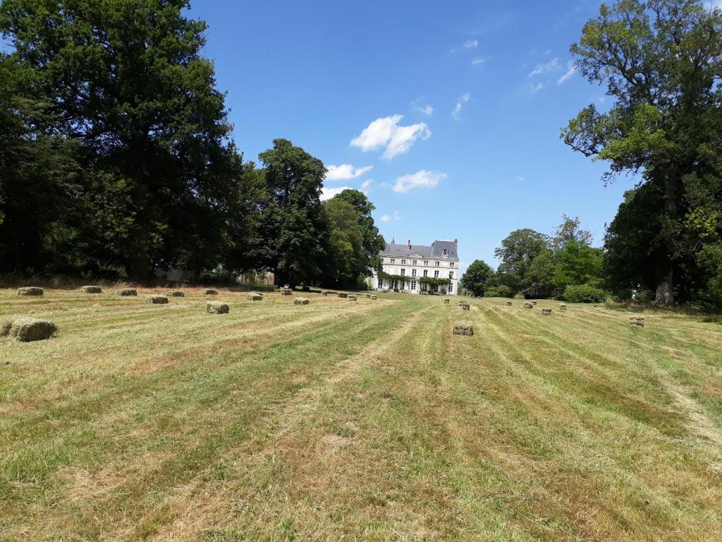 Chambres d'Hotes Château de la Puisaye photo 3