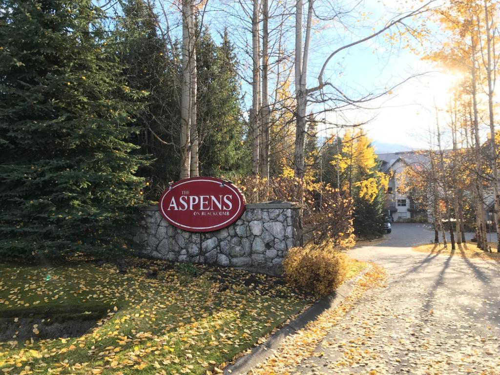 The Best Top Floor Ski-in/Ski-out at the Aspens photo 1