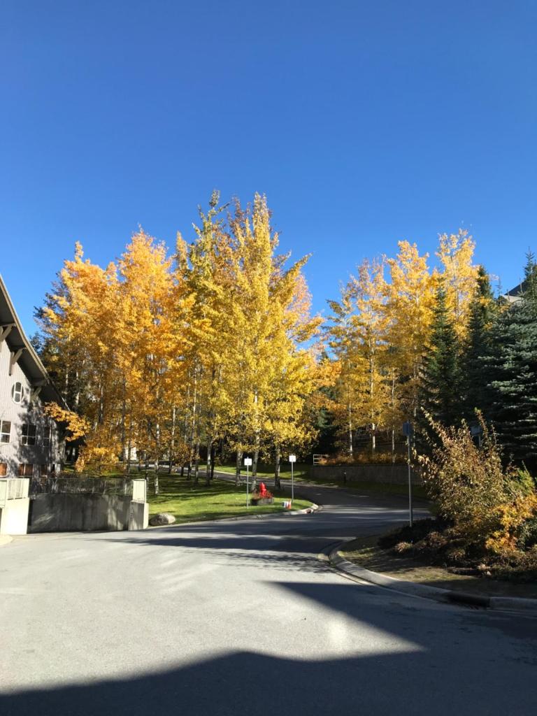 The Best Top Floor Ski-in/Ski-out at the Aspens photo 2