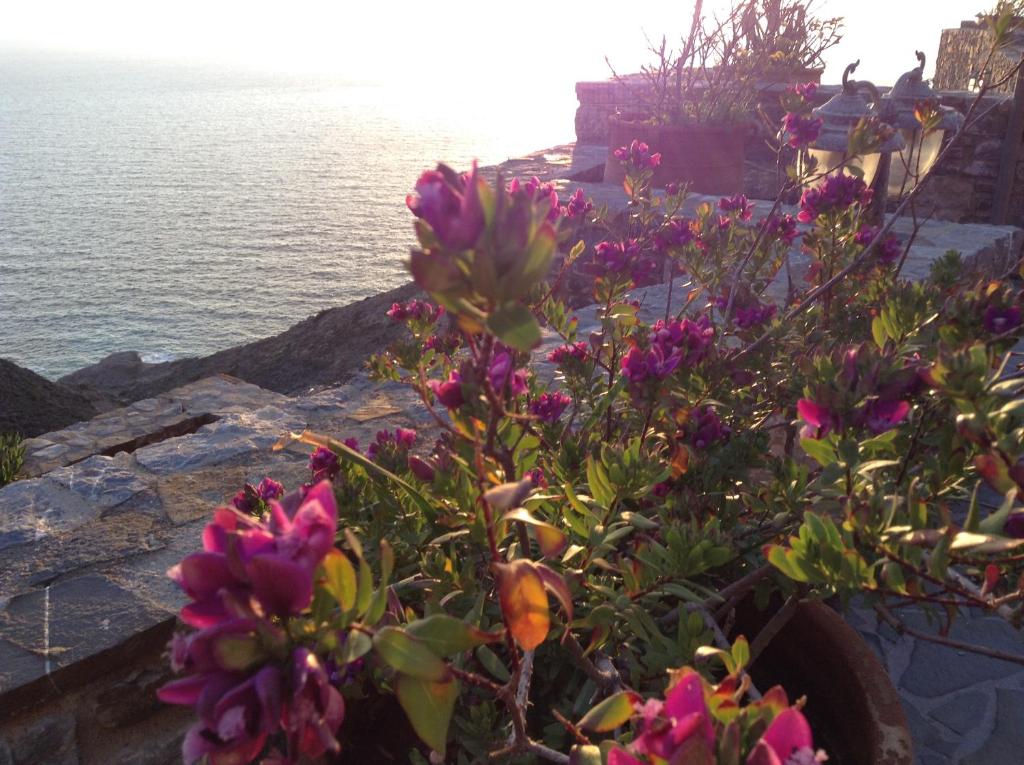 Olympos Archipelagos photo 4