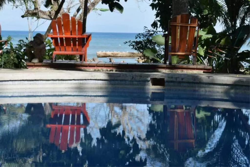 Howler Monkey Hotel photo 1