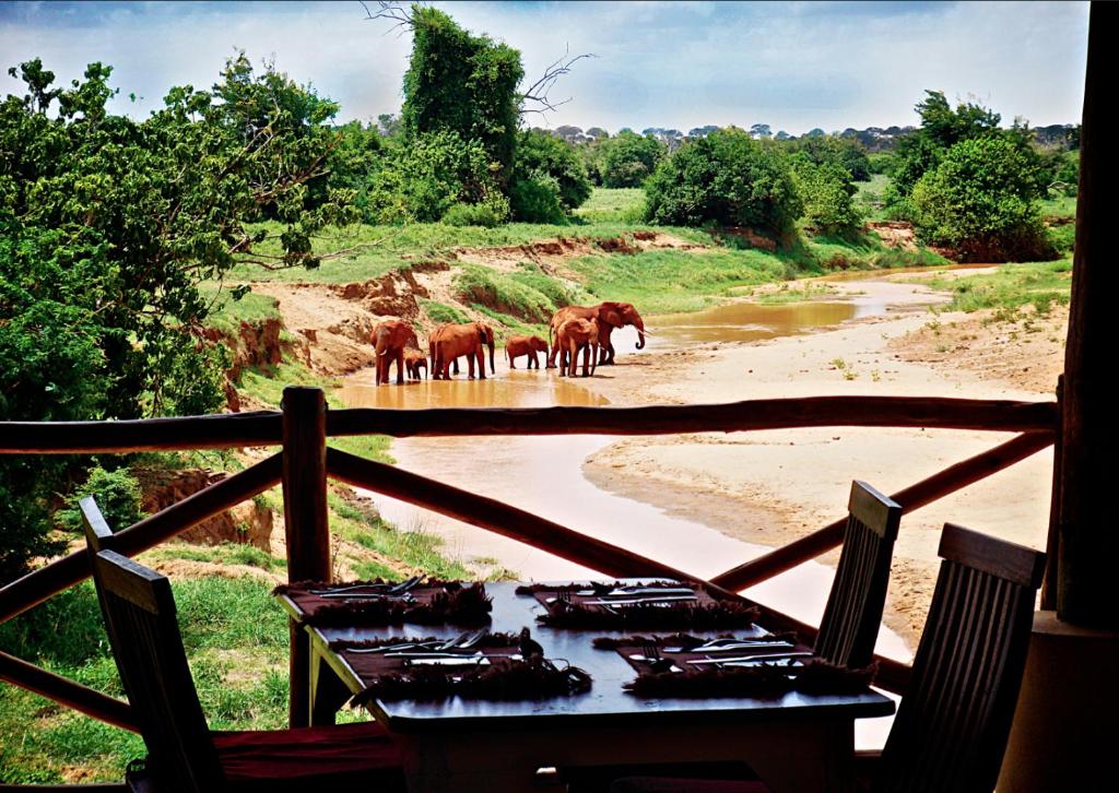 Manyatta Camp photo 3