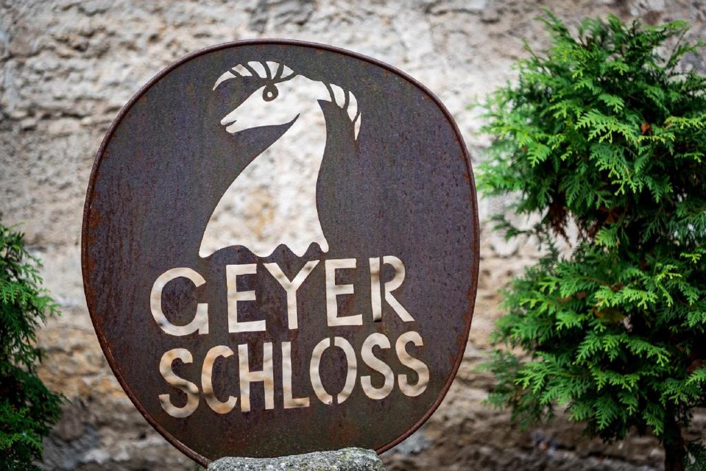 Geyer-Schloss Reinsbronn photo 4