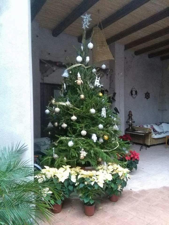 Antico Ormeggio photo 2
