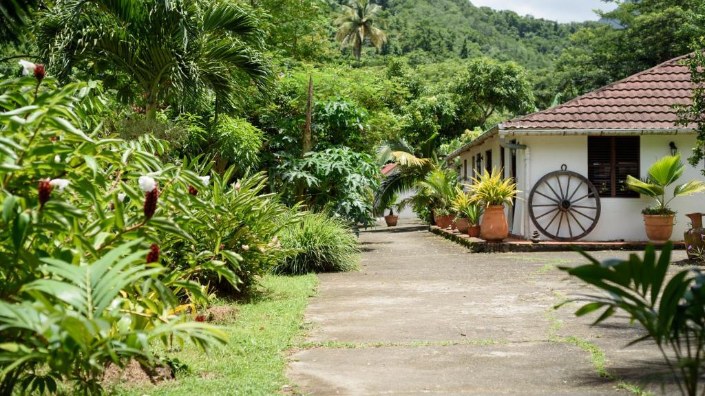 Martinique Treehouse photo 3