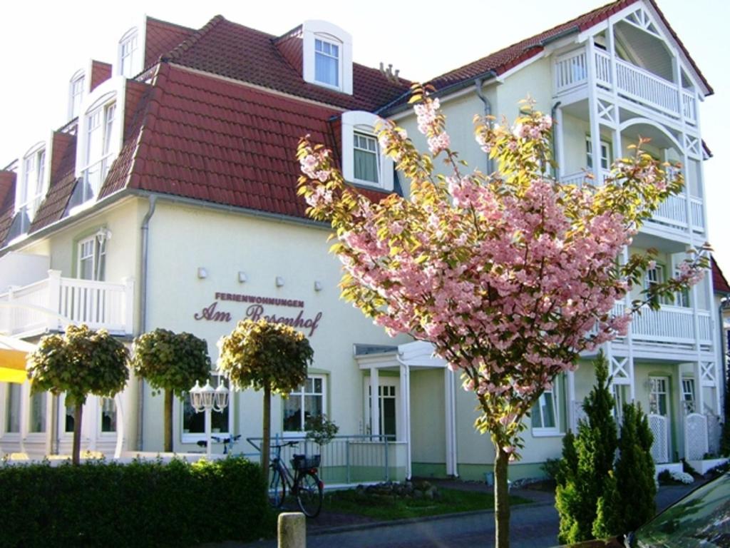 Ferienwohnungen am Rosenhof photo 3