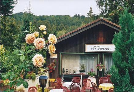 Ferienhotel Waldfrieden photo 4