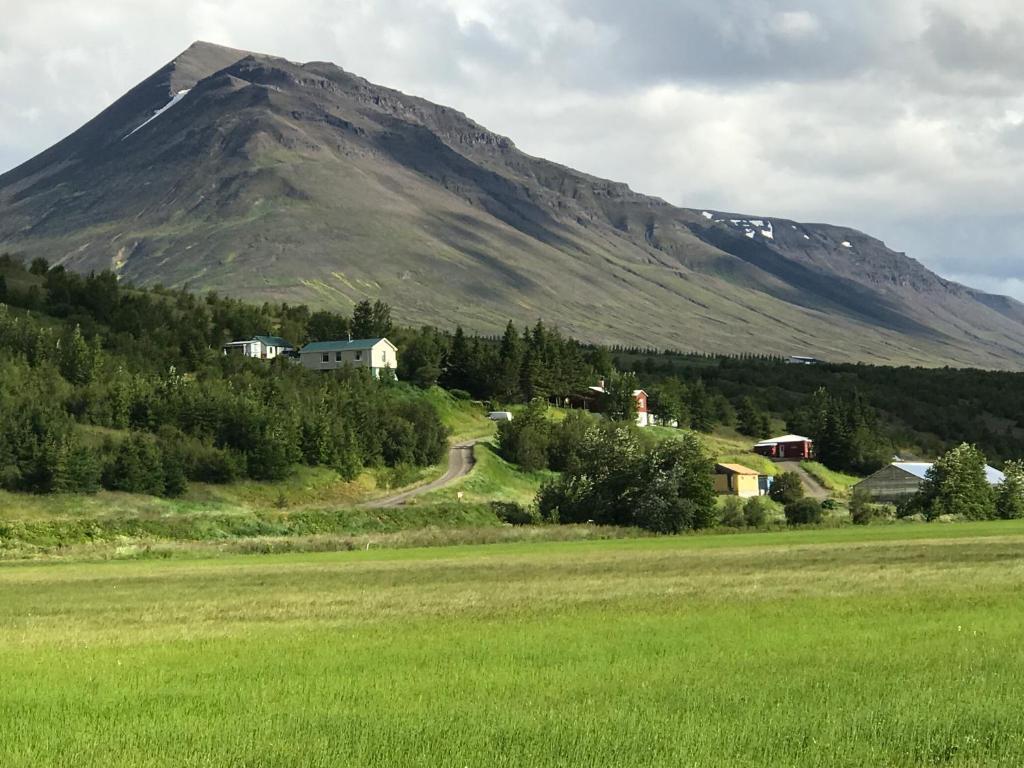 Brúnalaug Guesthouse - Holiday Home photo 2