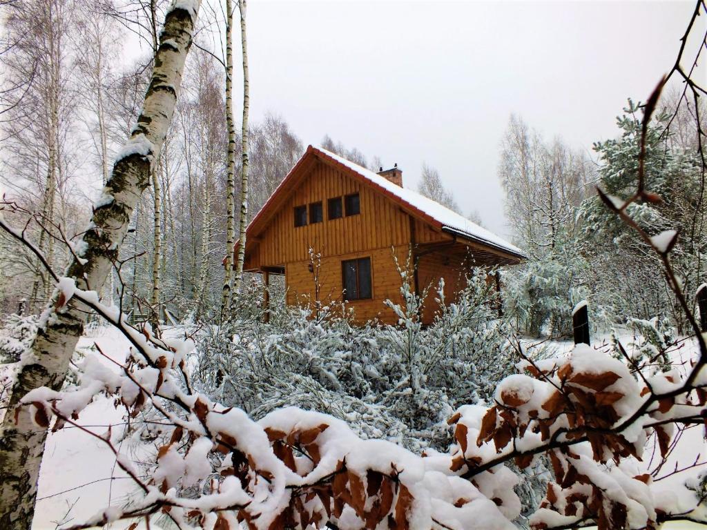 Sumówko Leśne Siedlisko photo 2