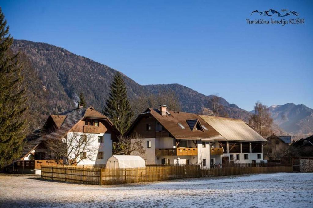 Farm Košir photo 1