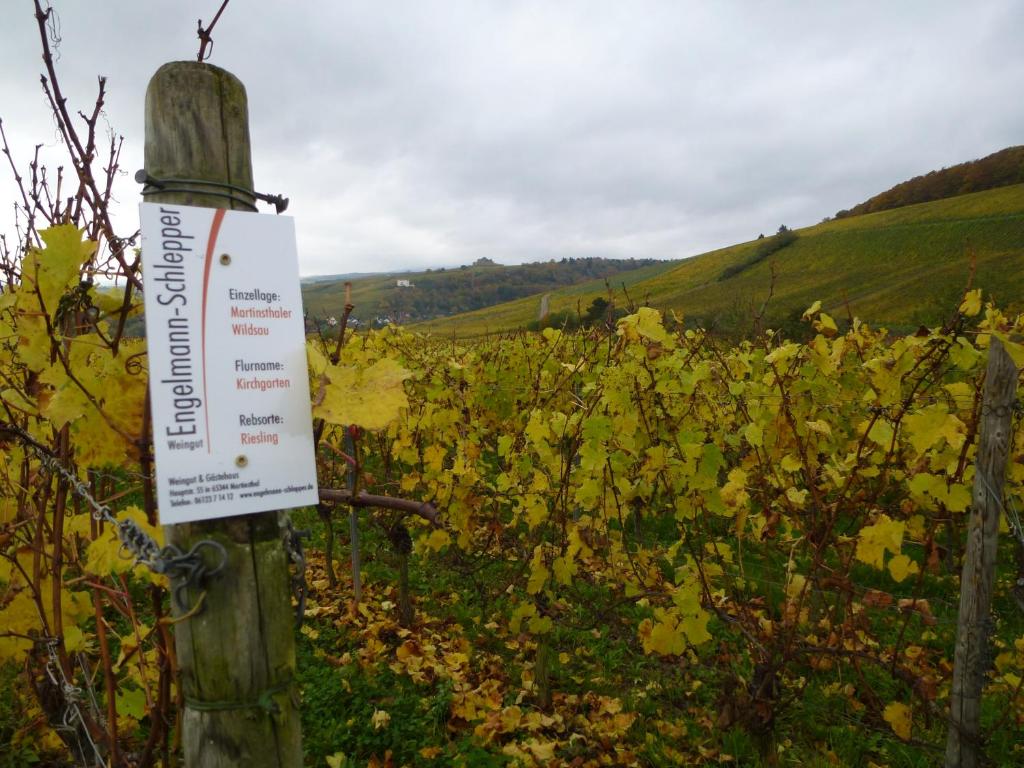 Weingut & Gästehaus Engelmann-Schlepper photo 1
