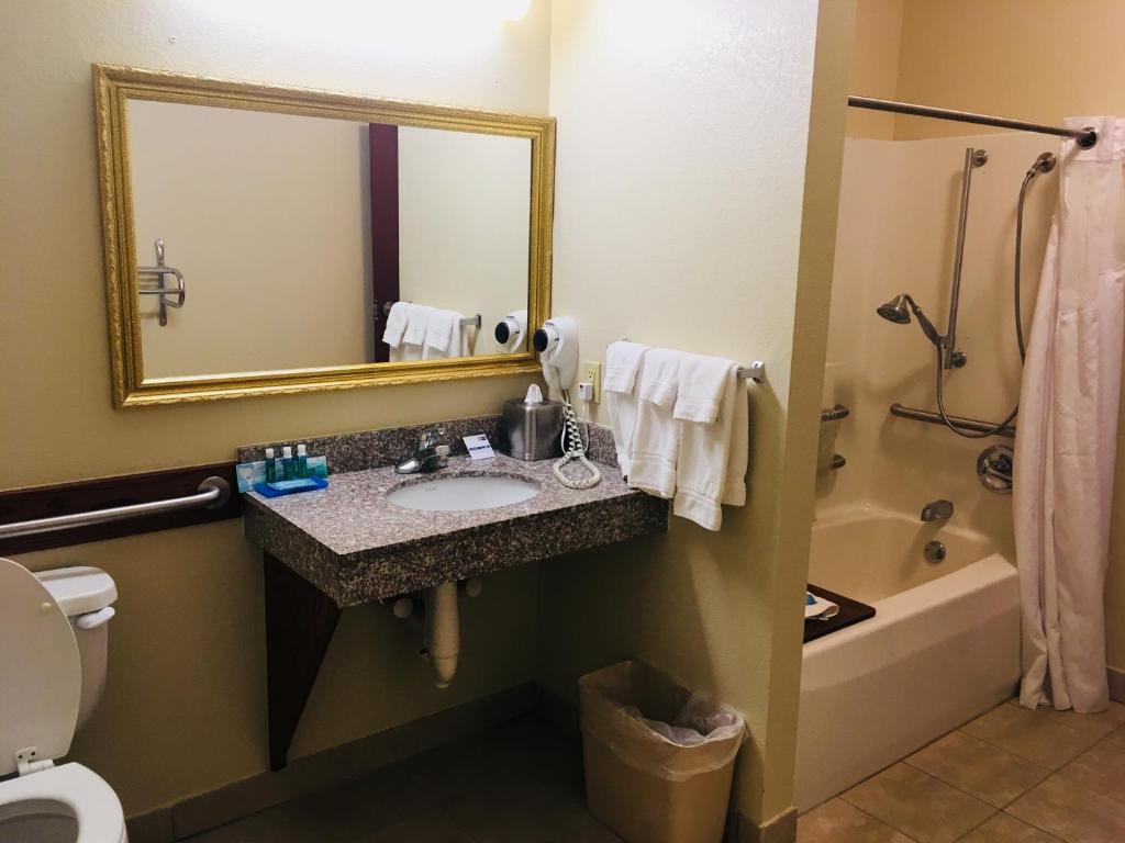 Holiday Inn Express Hotel & Suites Cadillac, an IHG Hotel photo 4