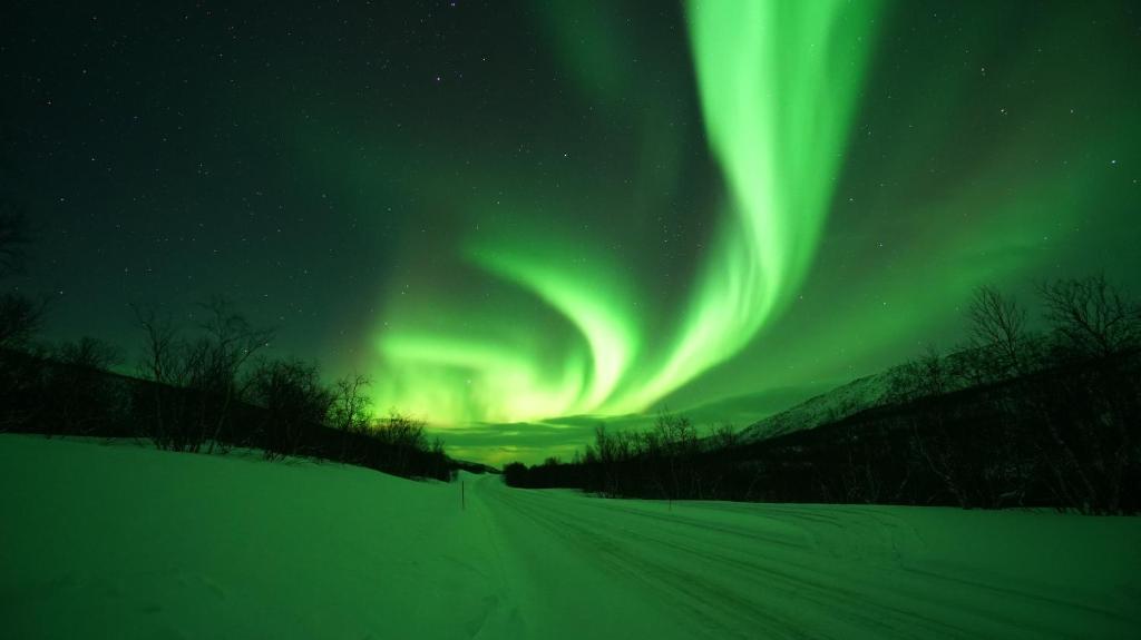 Arctic Aurora Borealis cottages photo 4