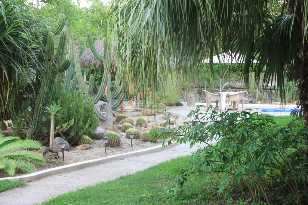 Casa Del Sol photo 4