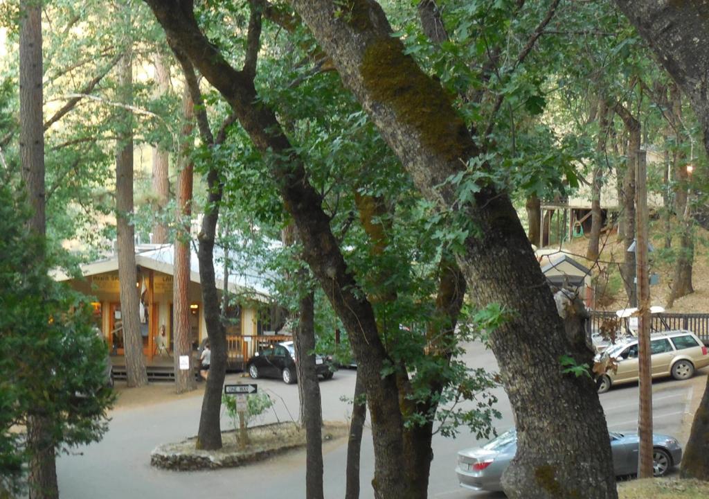 Yosemite Bug Rustic Mountain Resort image