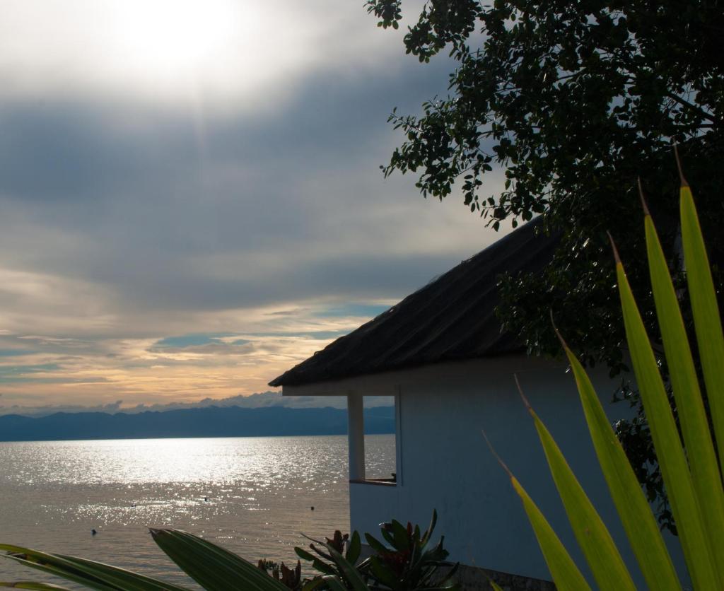 Сьюит (Люкс «Премьер»), Quo Vadis Dive Resort