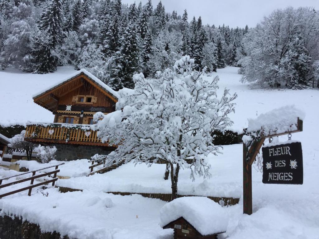 Chalet Fleur des Neiges photo 2