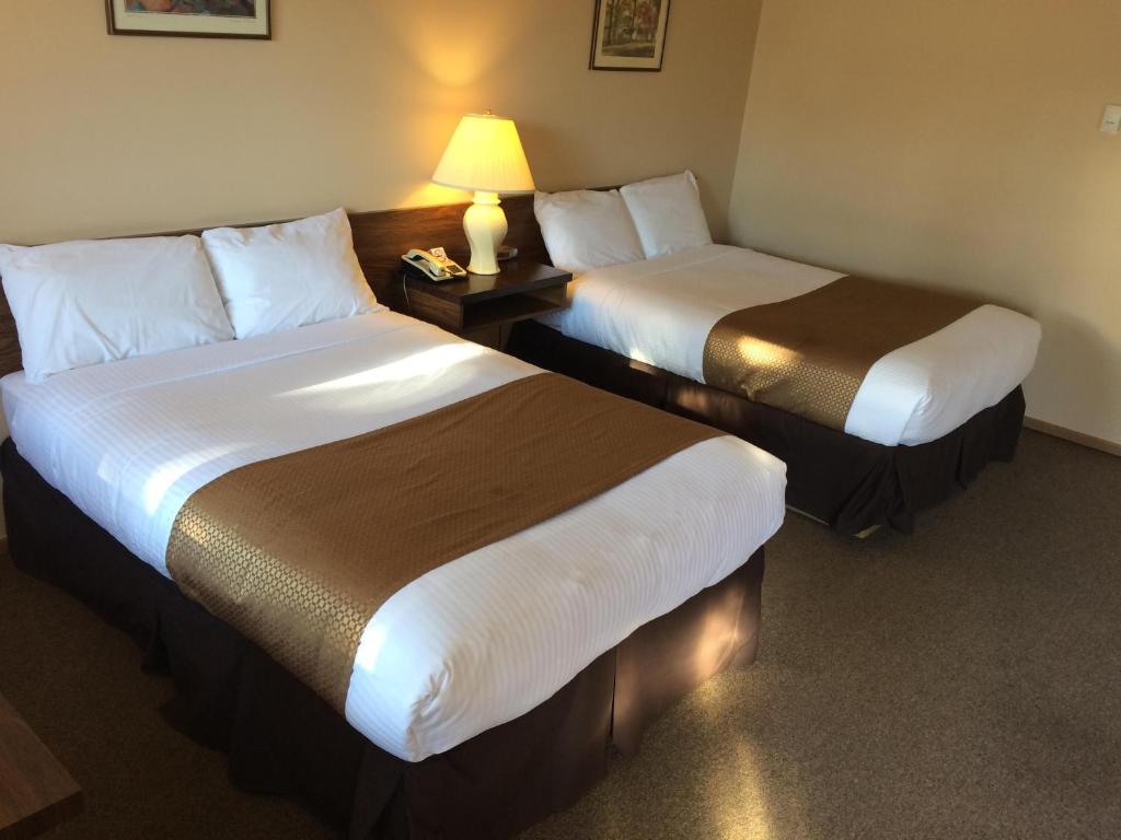 Siesta Motel photo 3