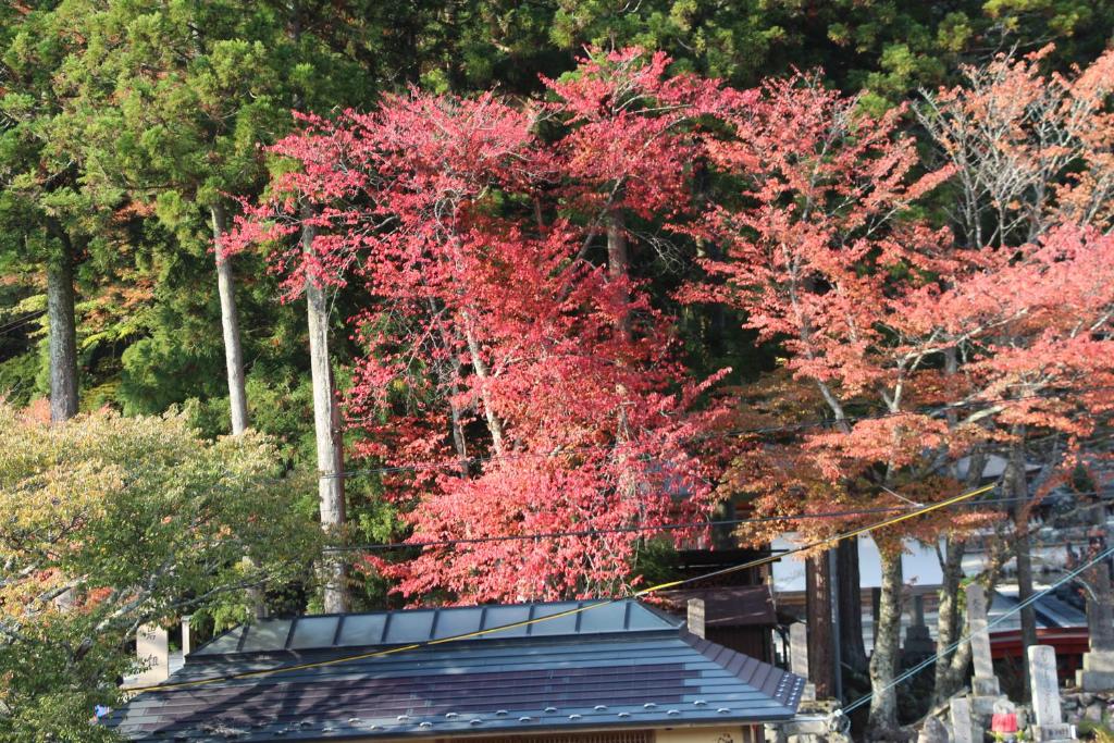 Atarashiya Ryokan photo 4