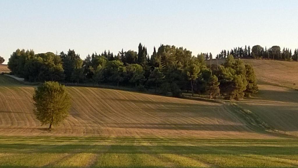 Villa degli Scoiattoli photo 4