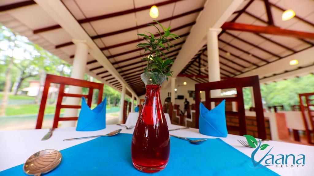 Vaana Resort photo 3