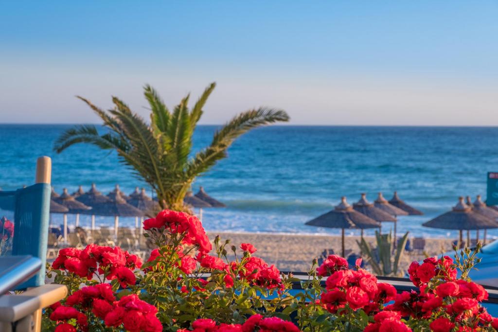 WhiteSands Beach Resort photo 1