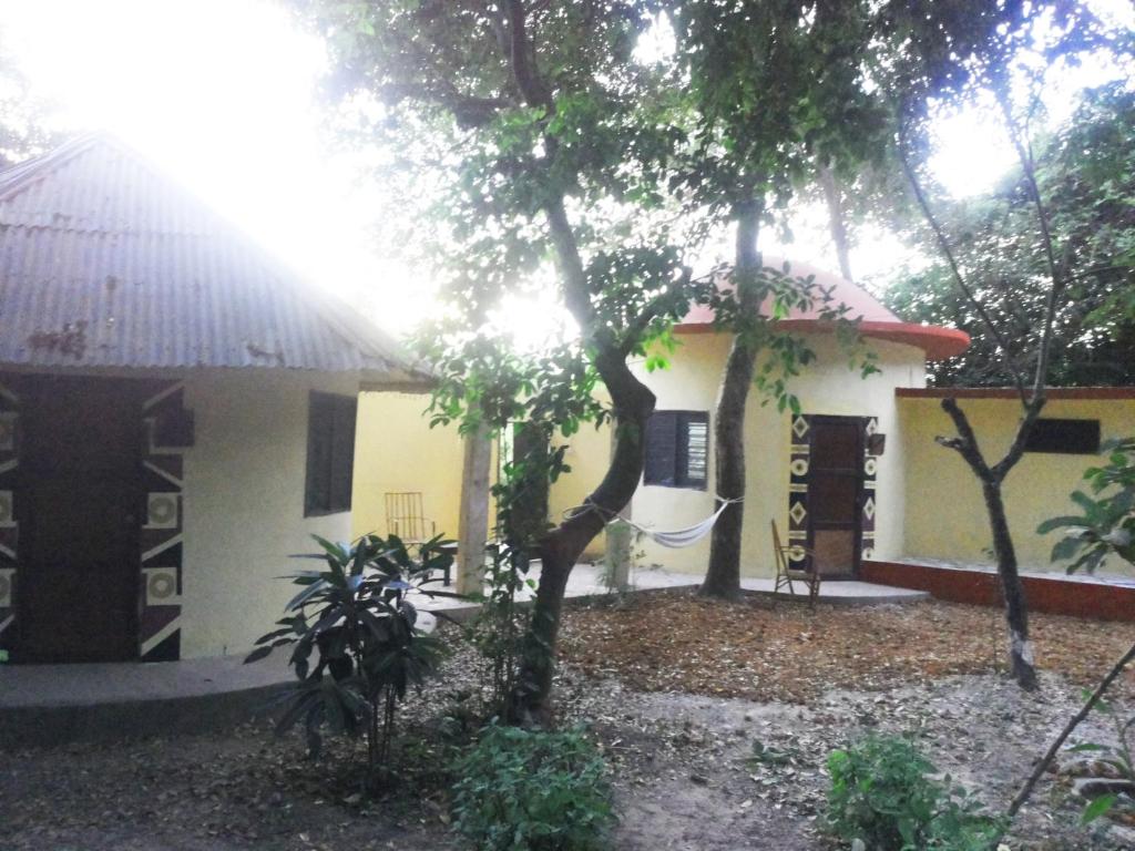 Bendula photo 3