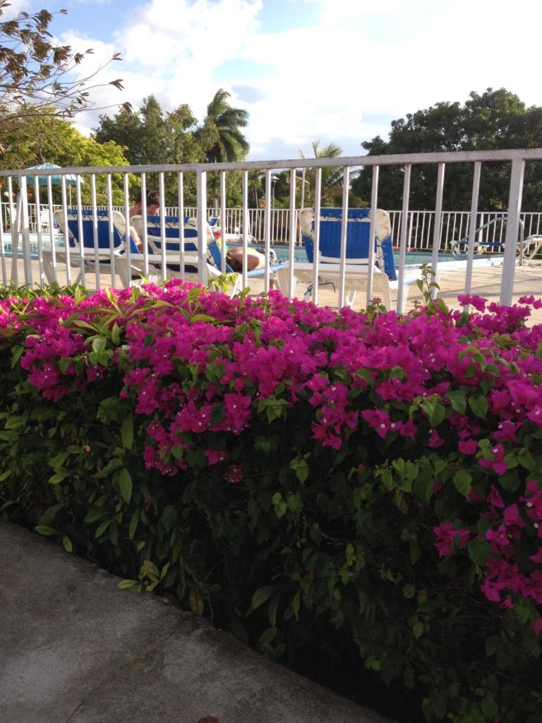 Montego Bay Club-Delux Seaside condo photo 4
