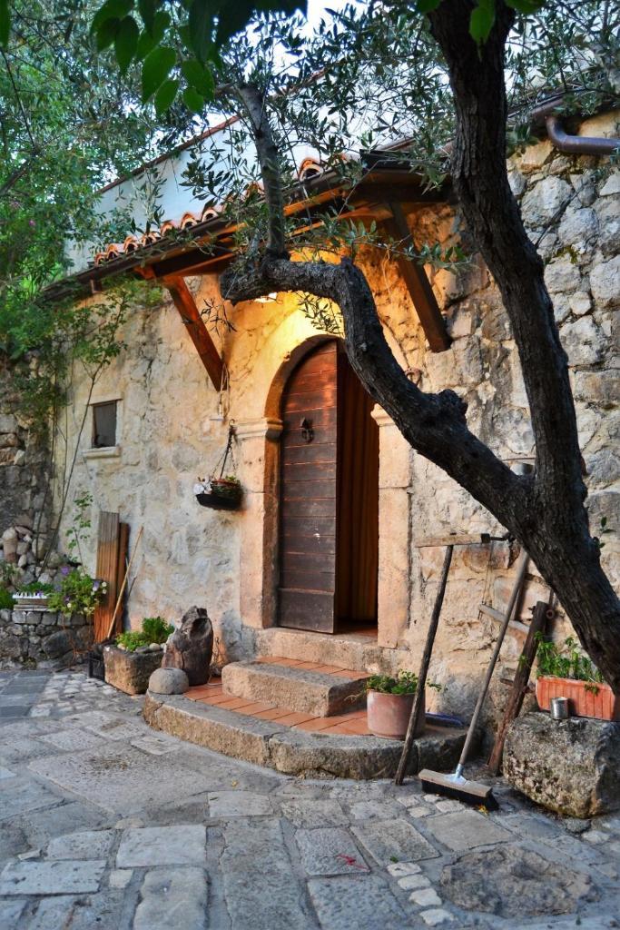 Fattoria La Tana della Volpe photo 4