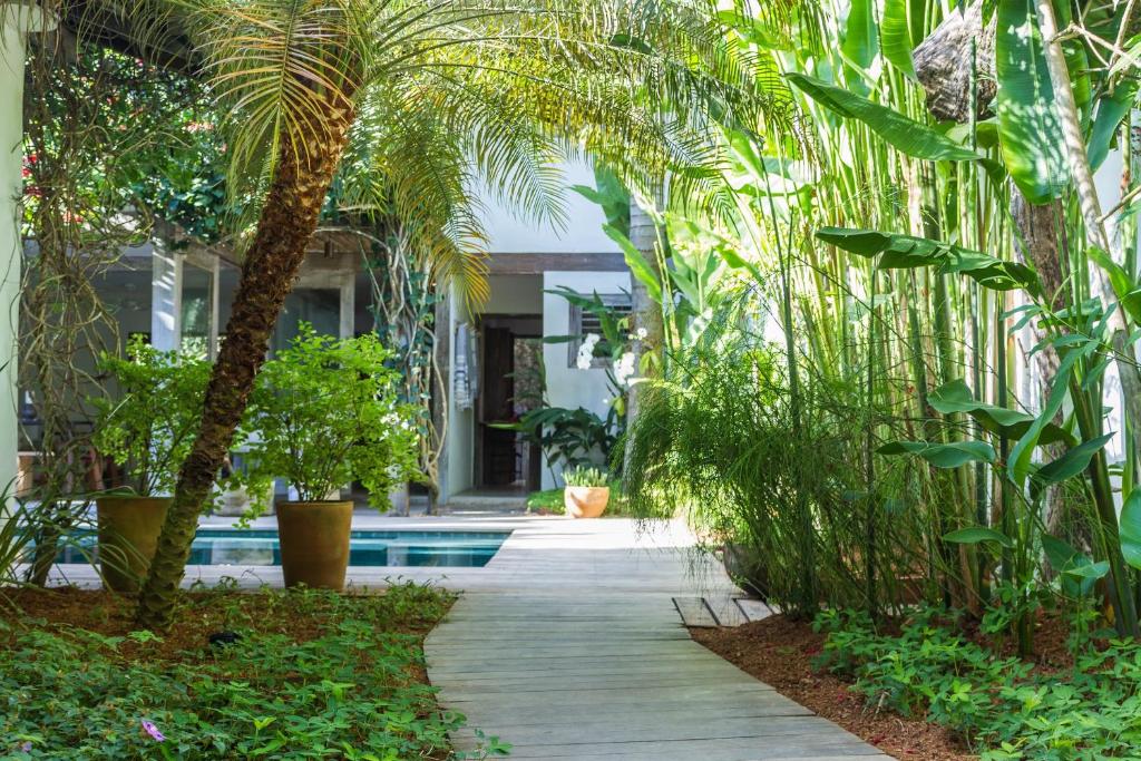 Casa Lola photo 3