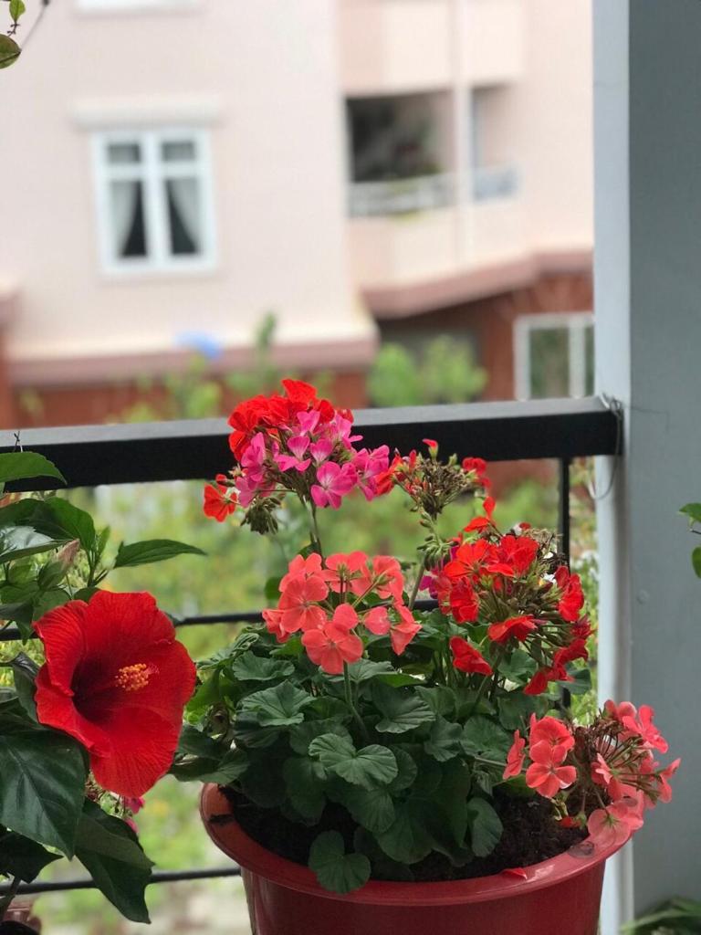 Thien Phu Guesthouse Dalat
