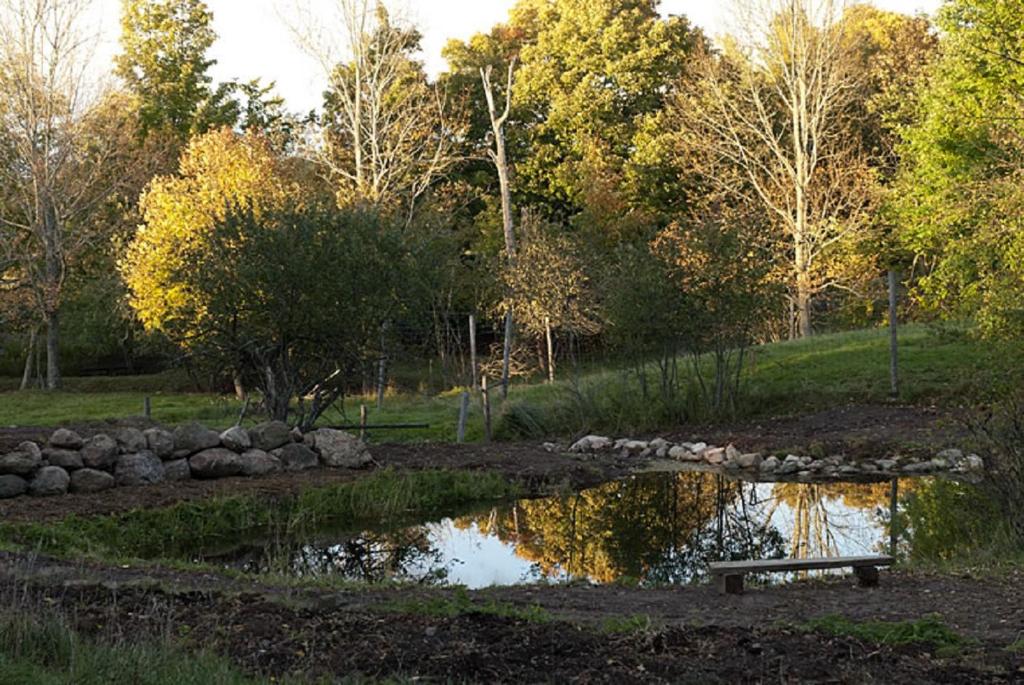 Green Dragon Organic Farm and B&B photo 1