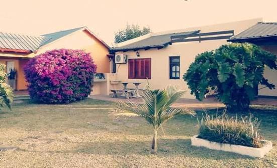 Bungalows Don Chula photo 4