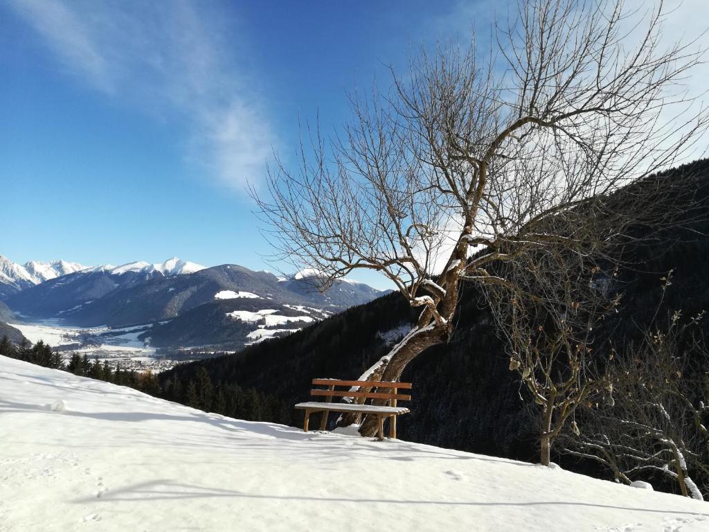 Bigraberhof photo 4