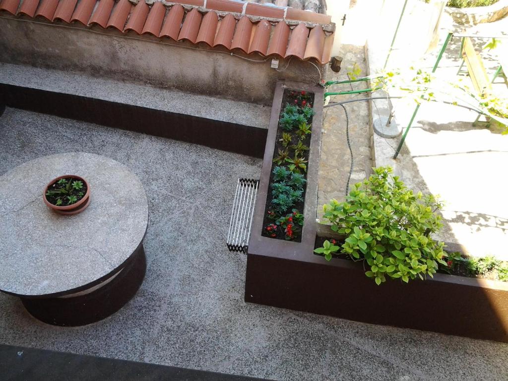 Apartment Mira photo 4