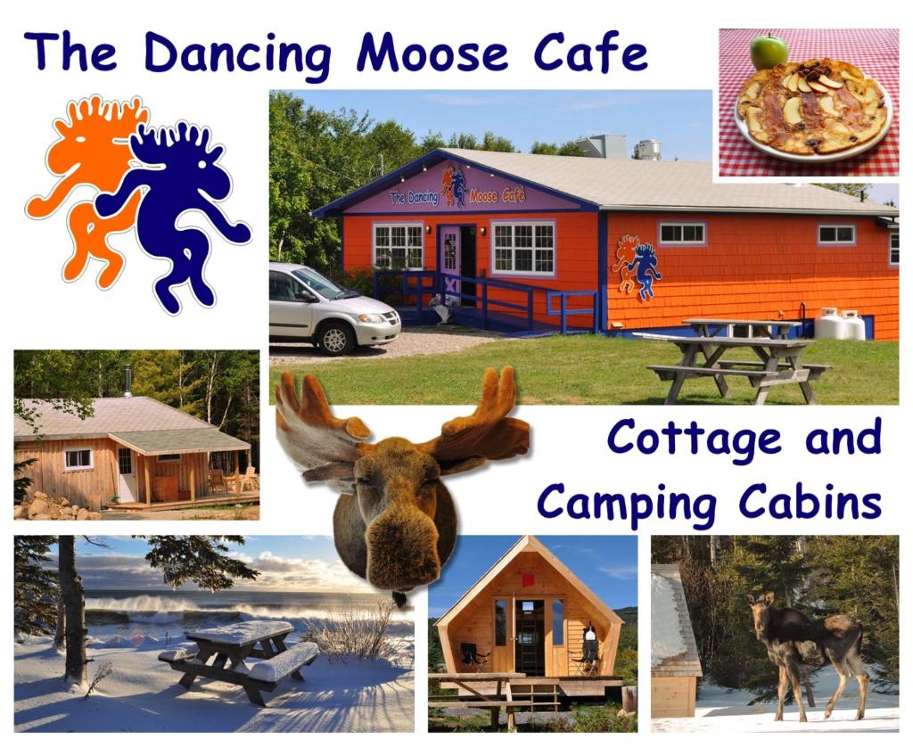 The ZzzzMoose 2.0 photo 4