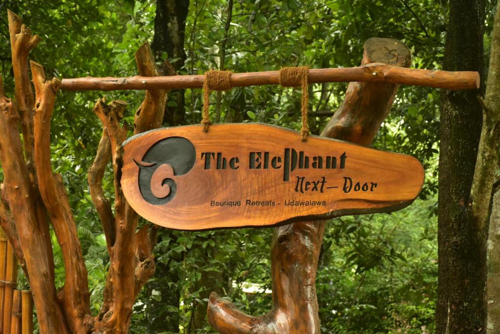 The Elephant Next-Door photo 1