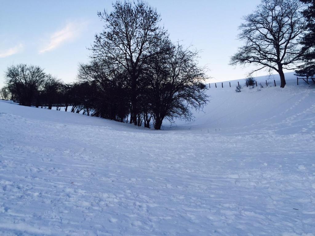 On Schopp photo 1