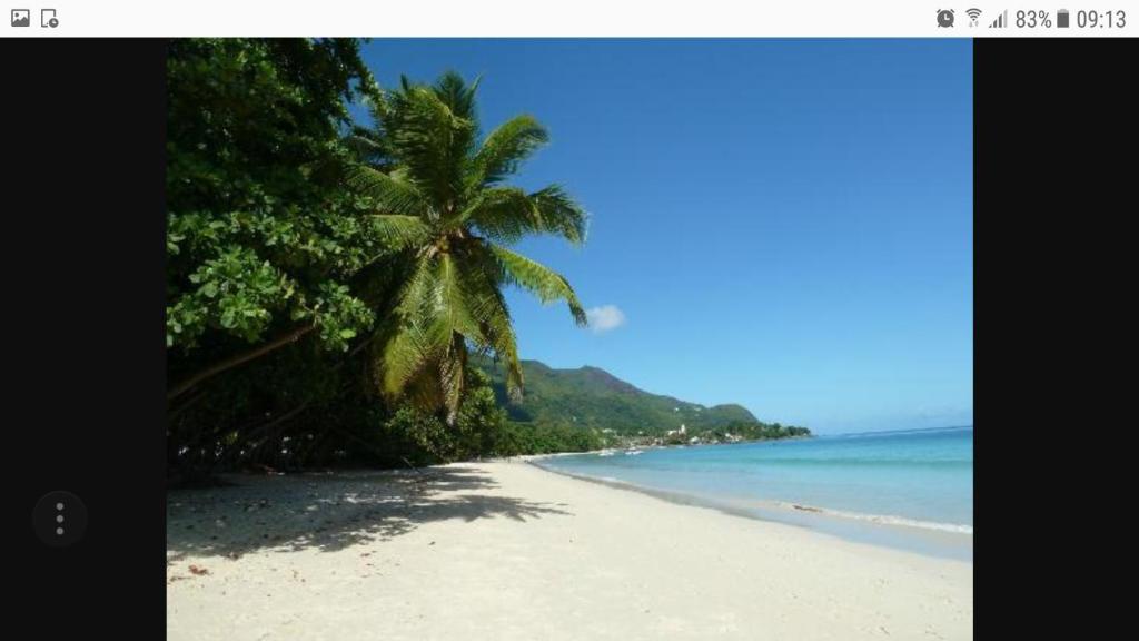 Beau Vallon Bungalows photo 4