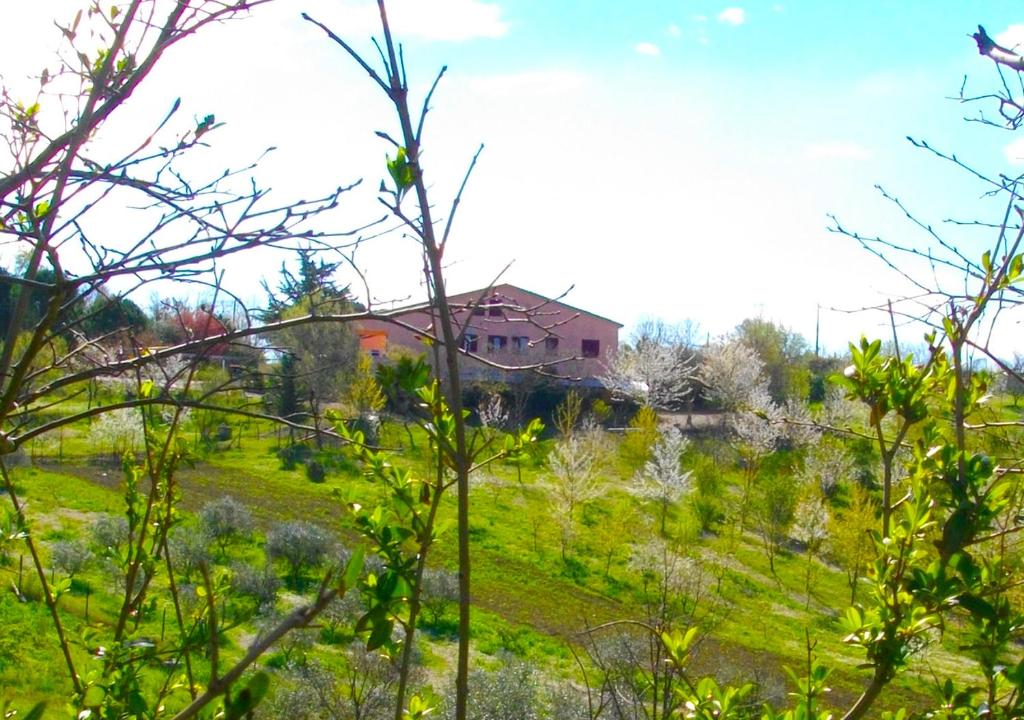 Il Rifugio dell'Ape Agriturismo