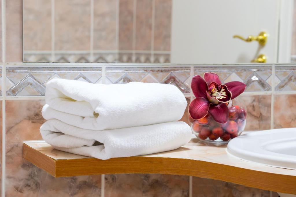 Двухместный (Стандартный двухместный номер с 1 кроватью), Hotel Armonia